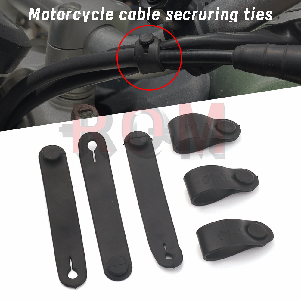 Monstera Adansonii - For Ducati Monster Multistrada 1200 796