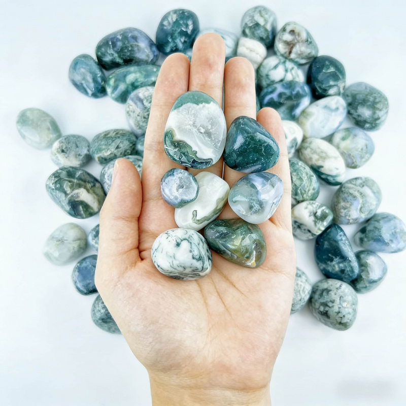 Natural Moss Agate Crushed Sto - Echeveria Succulent recensione e prezzo