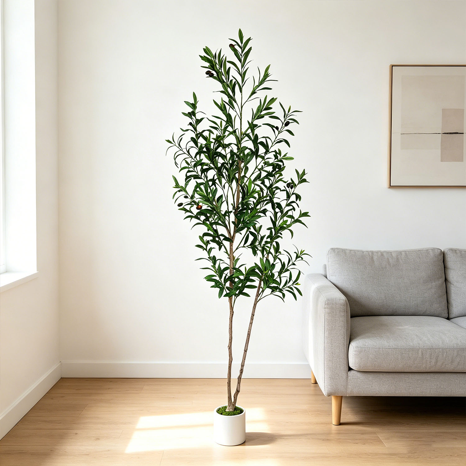 145Cm-175Cm/5.7Ft Artificial O - Dracaena Marginata recensione e prezzo