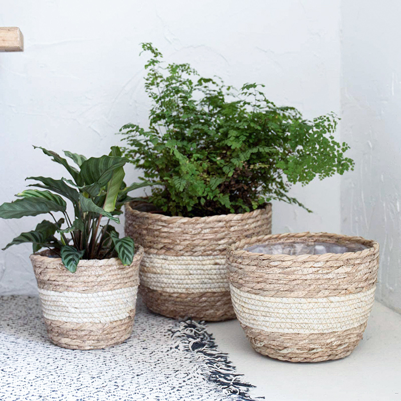 Seagrass Planter Basket Flower - Aloe Vera Pot recensione e prezzo