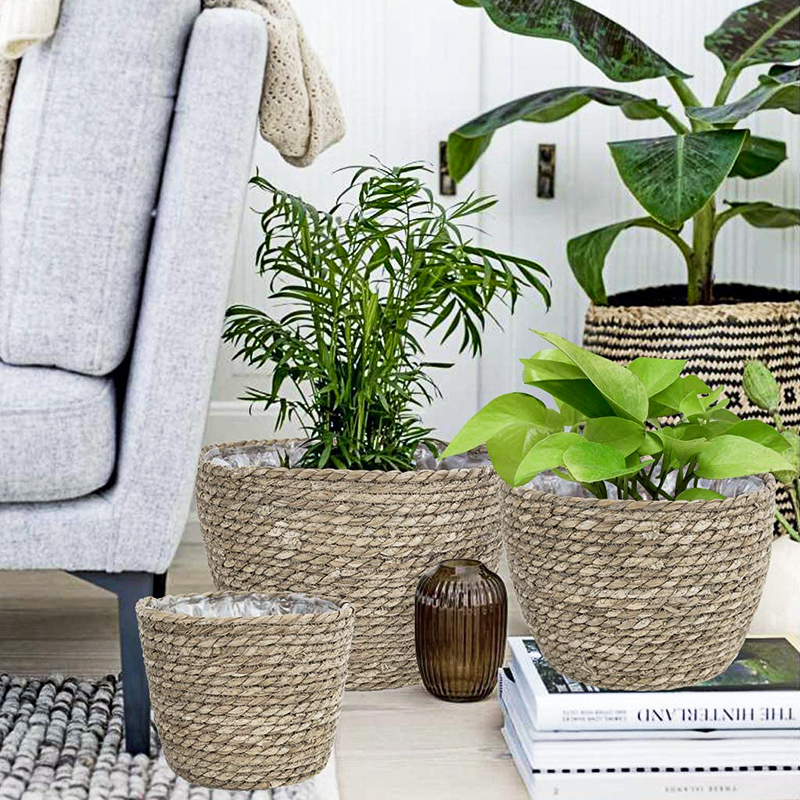 Seagrass Planter Basket Flower - Aloe Vera Pot recensione e prezzo