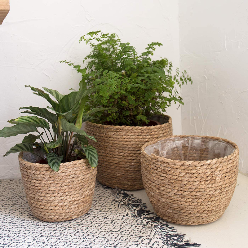 Seagrass Planter Basket Flower - Aloe Vera Pot recensione e prezzo