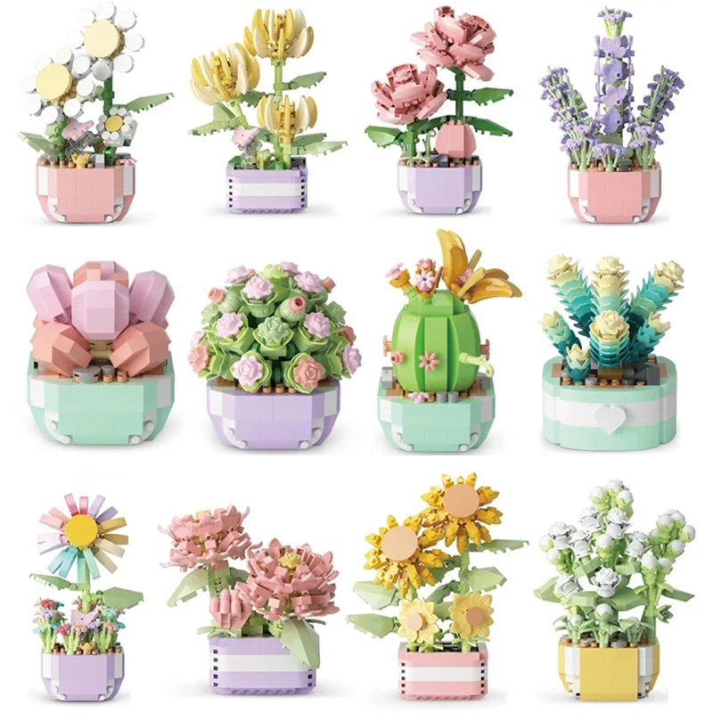 Flower Succulents Building Blo - Echeveria Succulent recensione e prezzo
