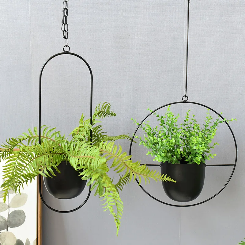 Wrought Iron Hanging Planter E - Spider Plant Hanging recensione e prezzo