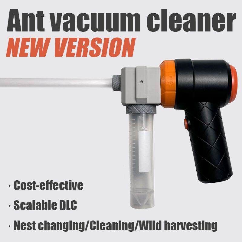 Ant Farm Collection Tool Ants  - Begonia Rex recensione e prezzo