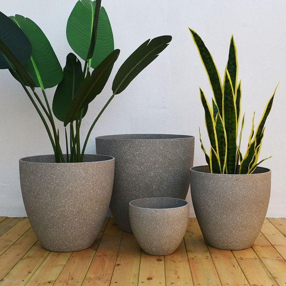 Frosted Imitation Stone Bonsai - Aloe Vera Pot recensione e prezzo