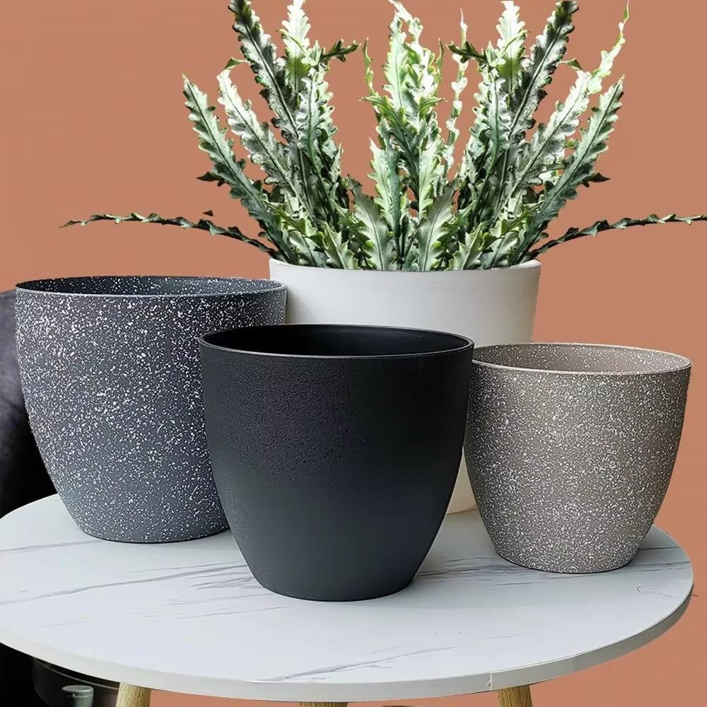 Frosted Imitation Stone Bonsai - Aloe Vera Pot recensione e prezzo