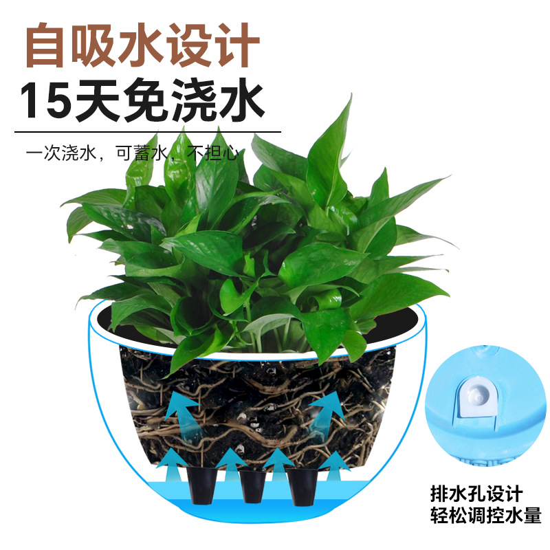 New simple imitation rattan wo - Spider Plant Hanging recensione e prezzo