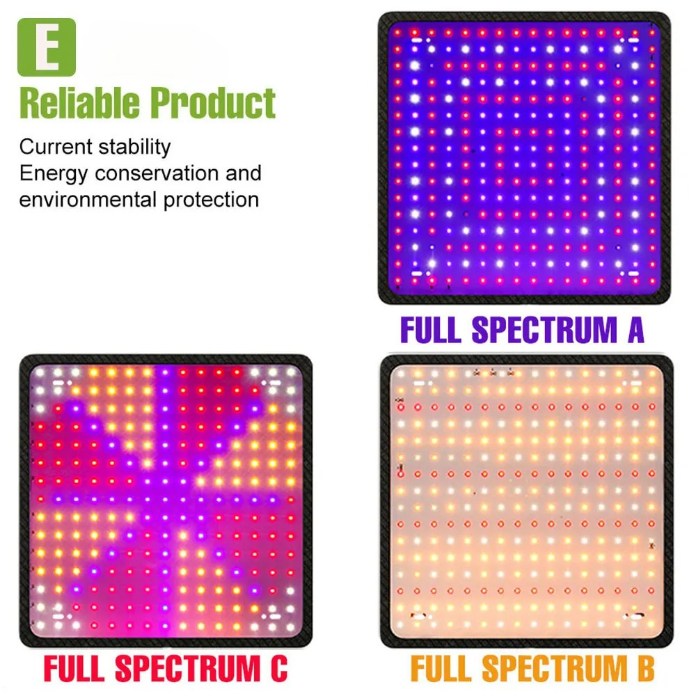 400W LED Grow Light Full Spect - Echeveria Succulent recensione e prezzo