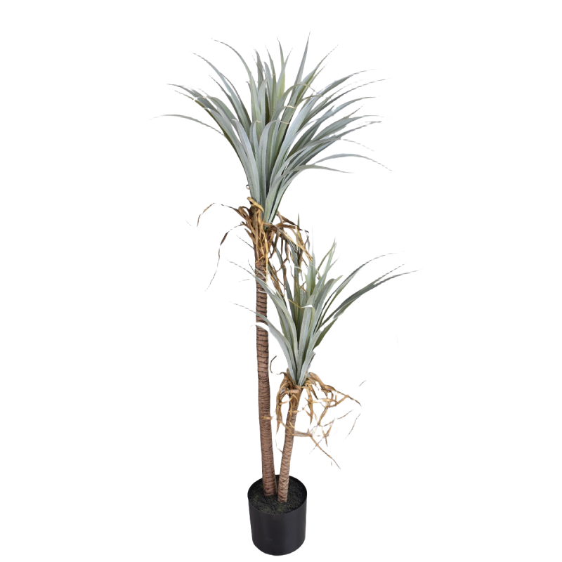 Dragon Blood Yucca Artificial  - Dracaena Marginata recensione e prezzo