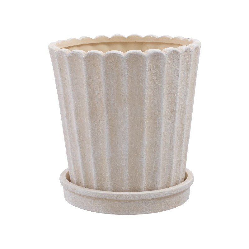 8 Inch Shell Planter Cream Cer - Aloe Vera Pot recensione e prezzo