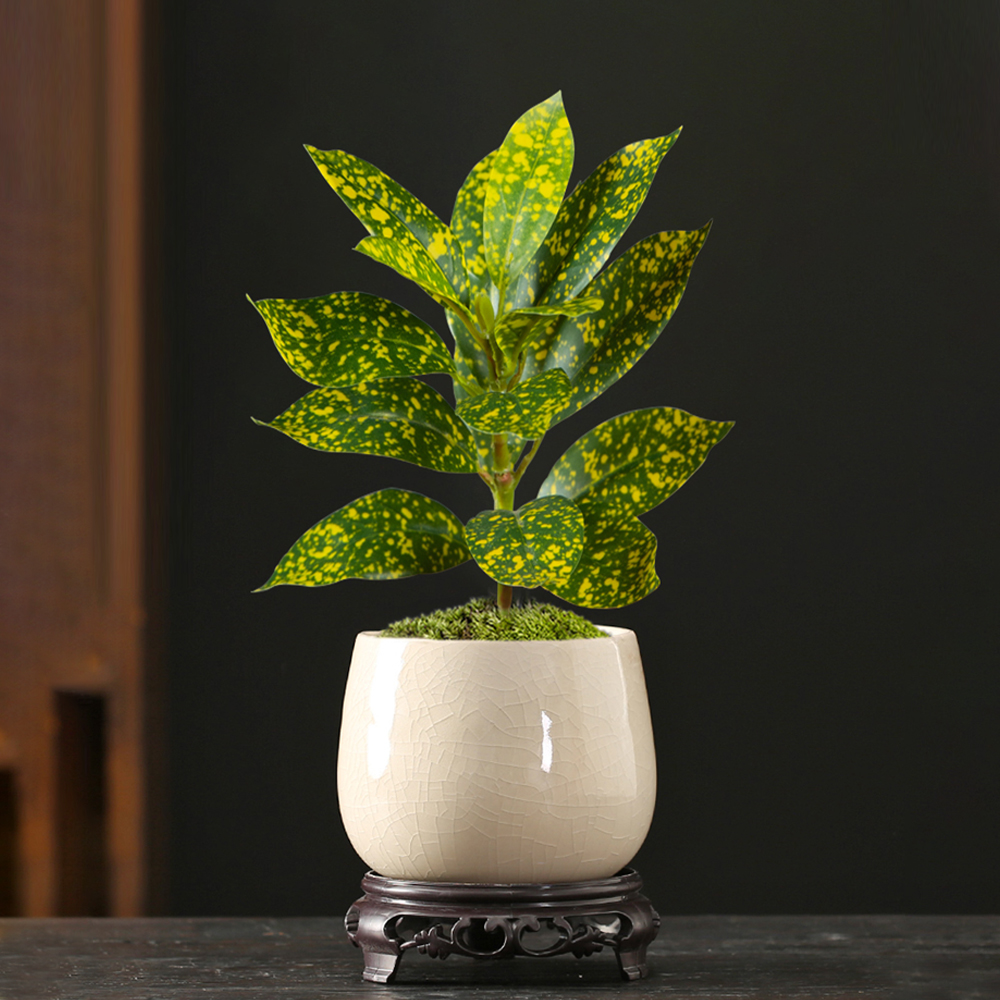 24-41cm Artificial Ficus Tree  - Ficus Lyrata Tree recensione e prezzo