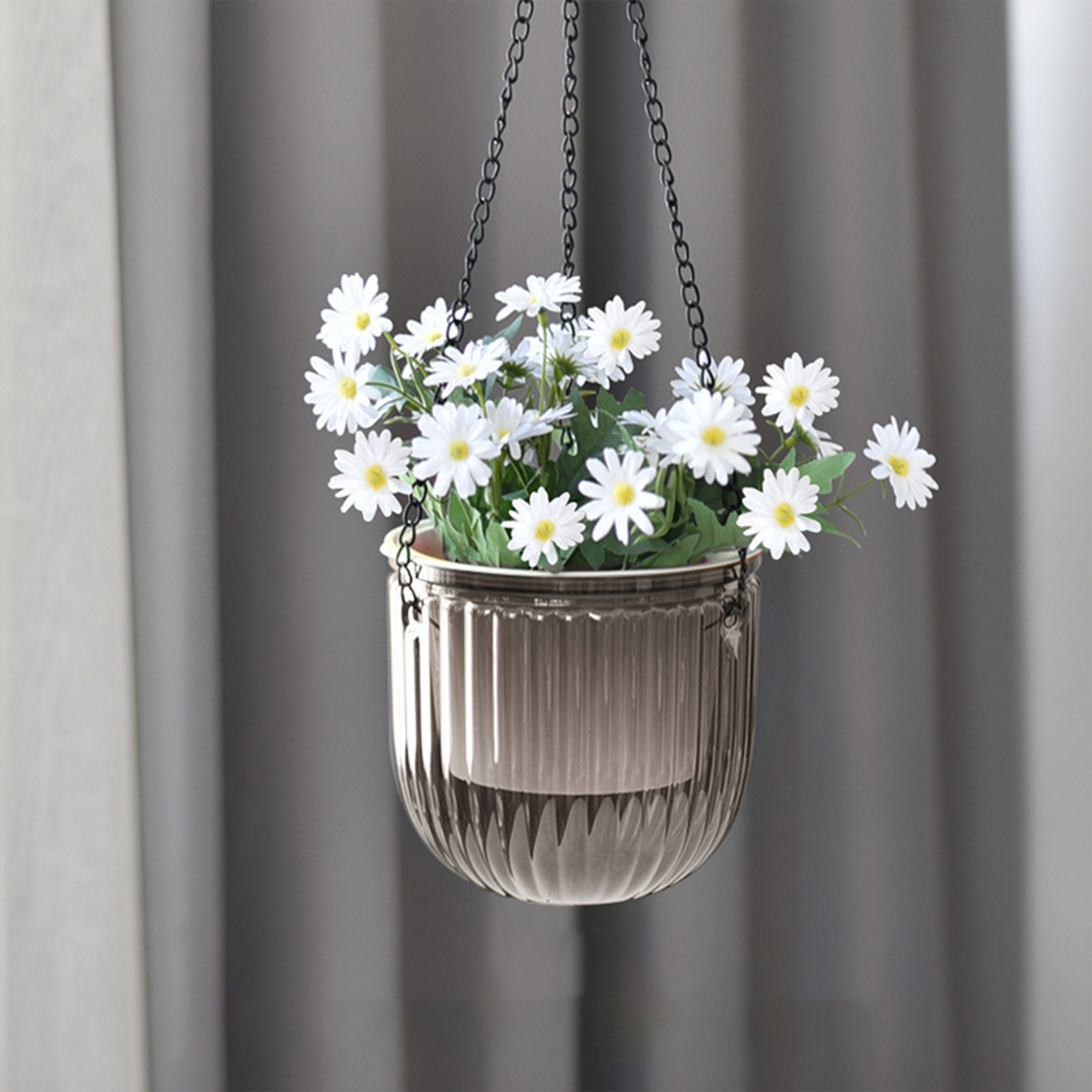 Automatic Self Watering Plant  - Spider Plant Hanging recensione e prezzo