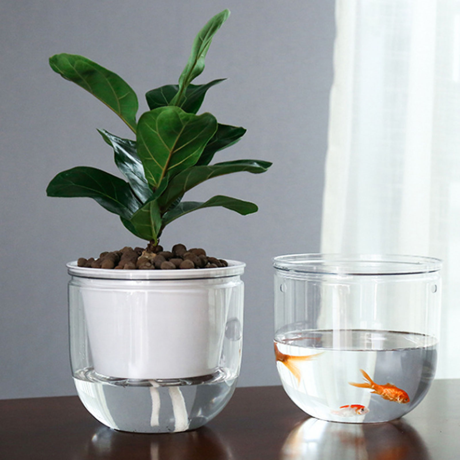 Automatic Self Watering Plant  - Spider Plant Hanging recensione e prezzo