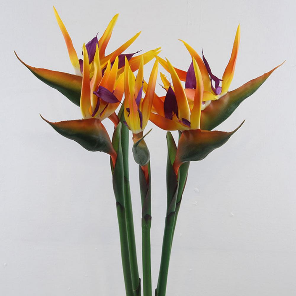 1pc 80cm Flower Bird Of Paradi - Bird Paradise Strelitzia recensione e prezzo
