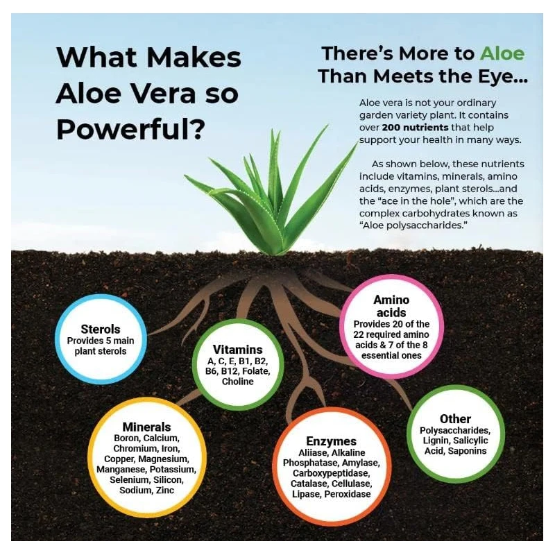 Aloe Vera Capsules - Help Prom - Aloe Vera Pot recensione e prezzo