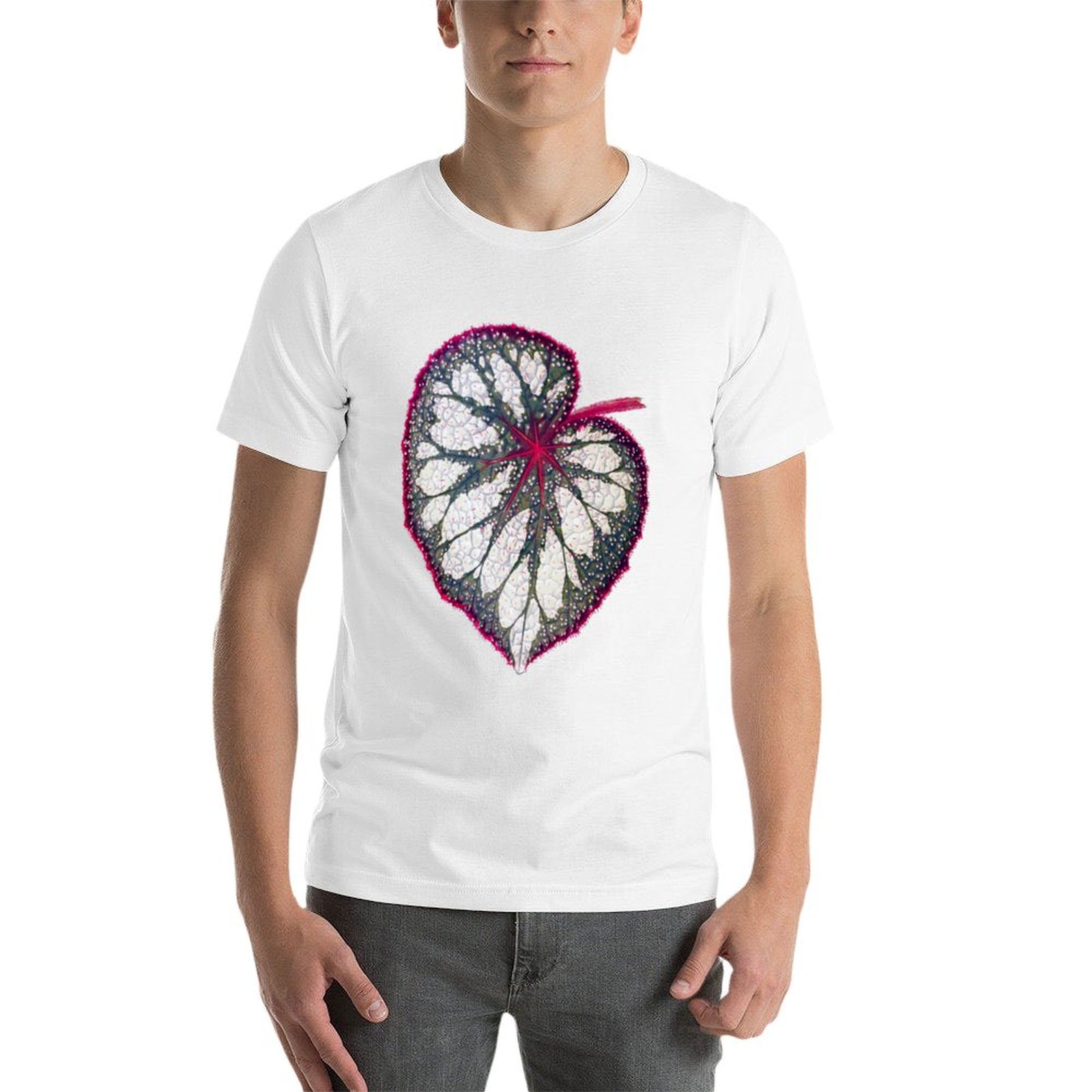 Begonia rex T-Shirt man graphi - Begonia Rex recensione e prezzo