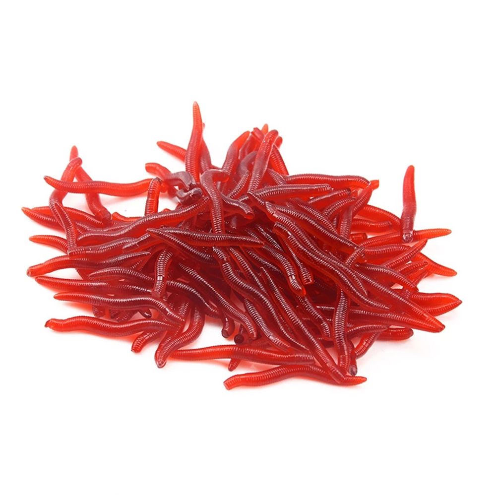 100pcs/Bottle Realistic Tackle - Aglaonema Red recensione e prezzo