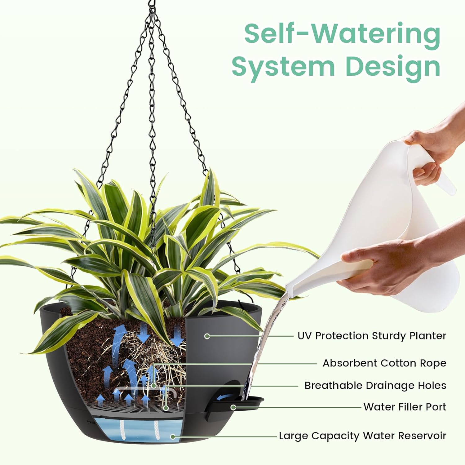 8 Inch Self Watering Hanging P - Spider Plant Hanging recensione e prezzo