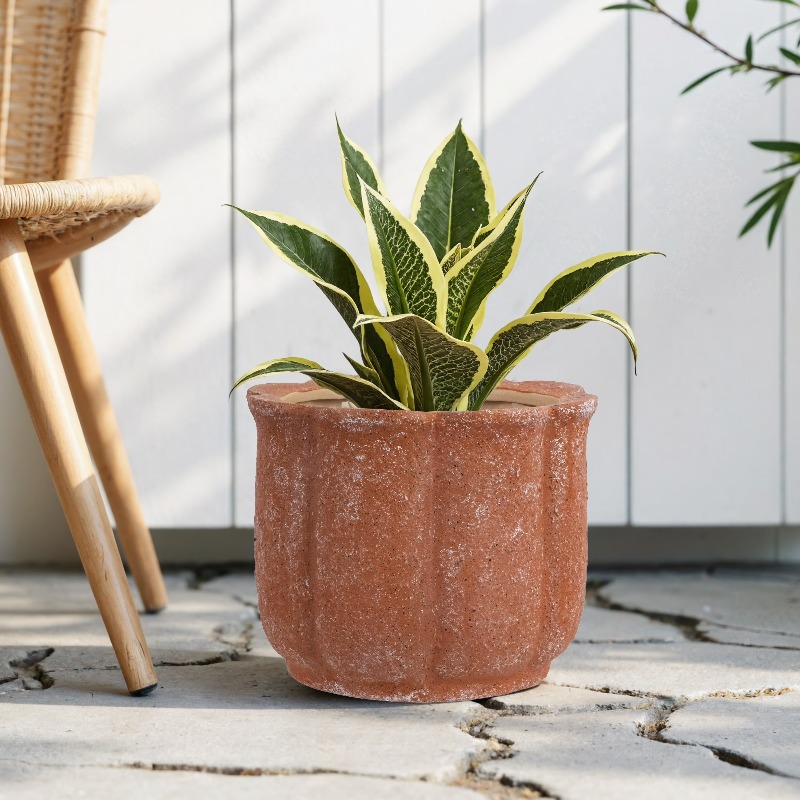 8in Terracotta Flower Planter  - Aloe Vera Pot recensione e prezzo