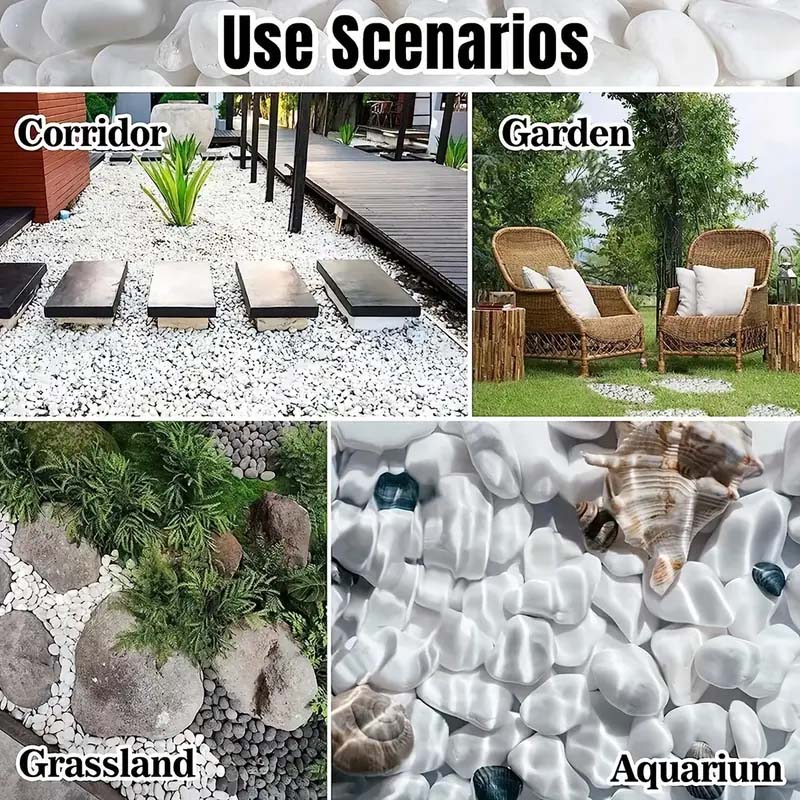 White Pebbles Decorative Stone - Echeveria Succulent recensione e prezzo