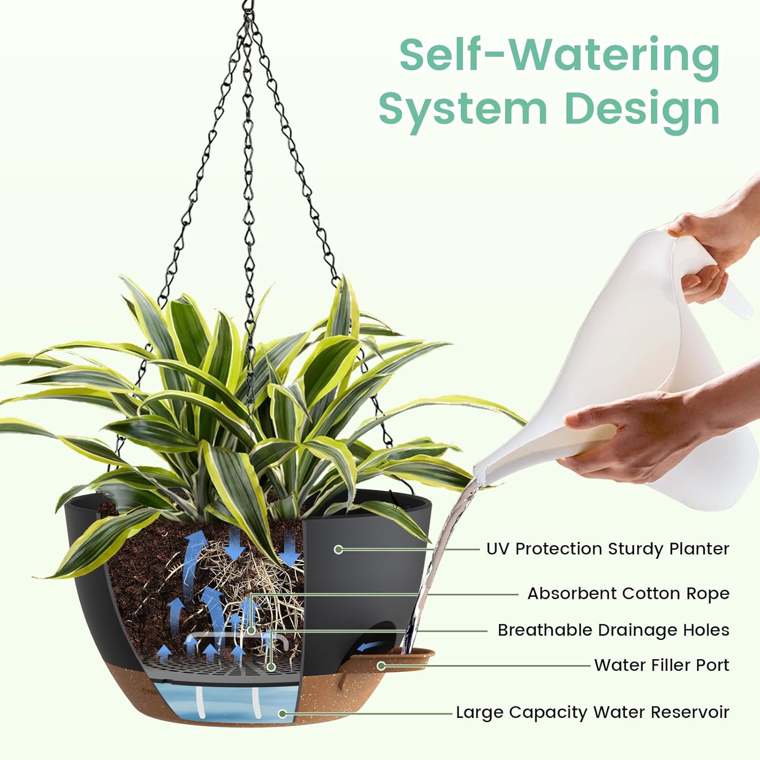 Self Watering Hanging Planters - Spider Plant Hanging recensione e prezzo