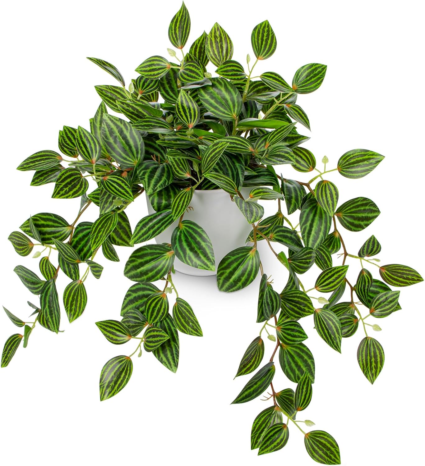 Artificial Plants Indoor Fake  - Peperomia Watermelon recensione e prezzo