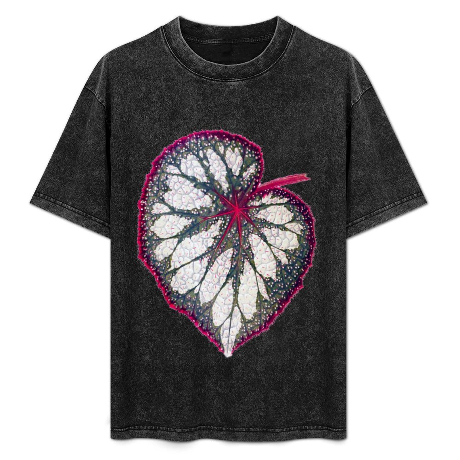 Begonia rex T-Shirt Holiday Si - Begonia Rex recensione e prezzo