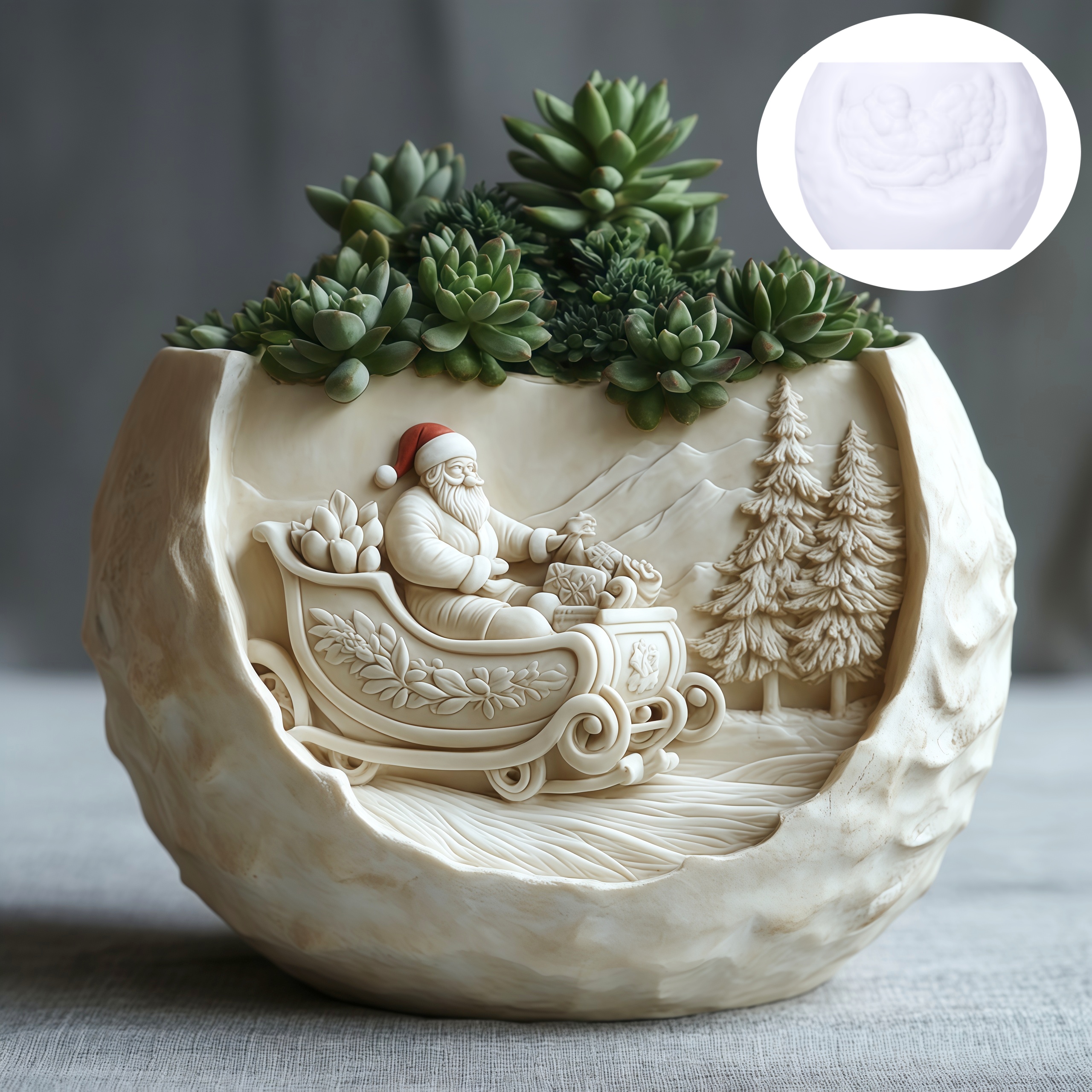 Cedar Sled Santa Claus Relief  - Echeveria Succulent recensione e prezzo