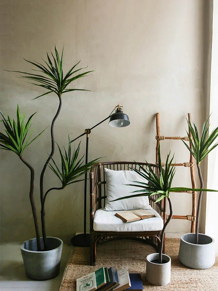 Simulation Plant Dracaena Marg - Dracaena Marginata recensione e prezzo