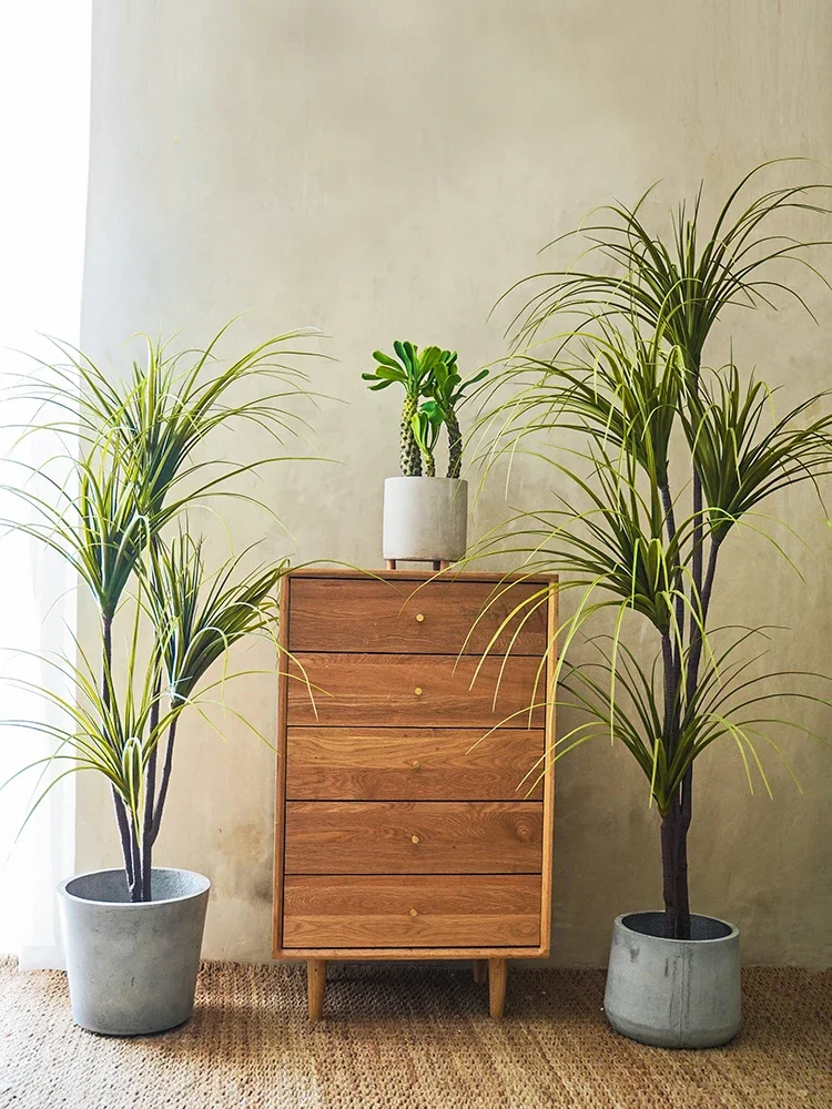 Simulation Plant Dracaena Marg - Dracaena Marginata recensione e prezzo