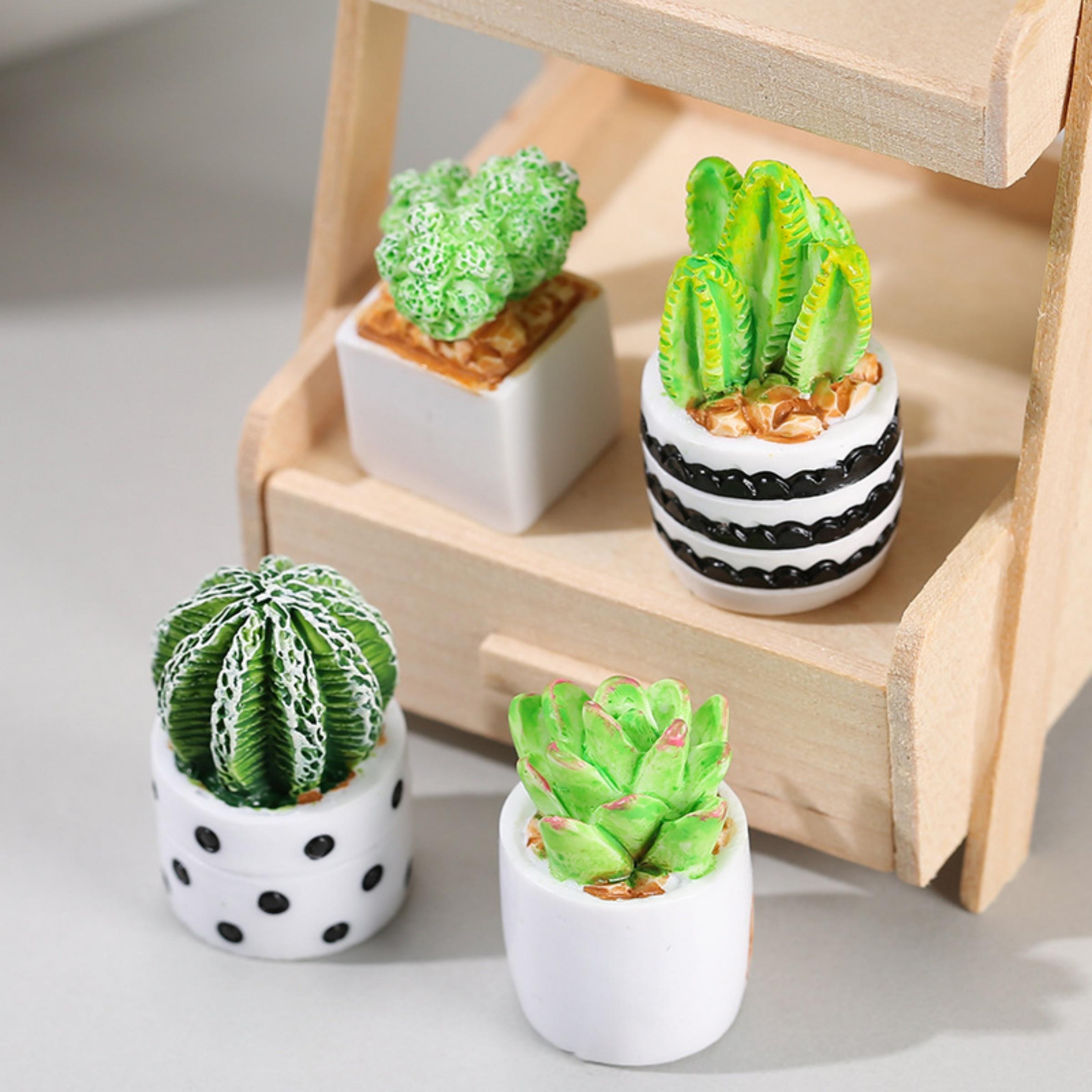 4-Piece Set of Cactus Succulen - Echeveria Succulent recensione e prezzo