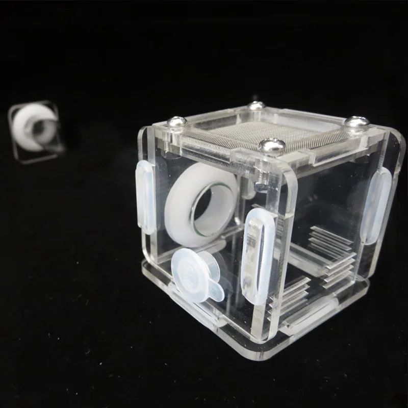DIY Various Size Ant Farm Bamb - Begonia Rex recensione e prezzo