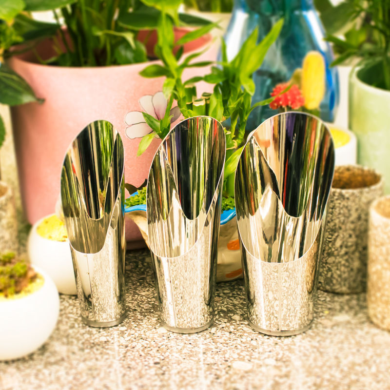 Stainless Steel Bucket Shovel  - Echeveria Succulent recensione e prezzo