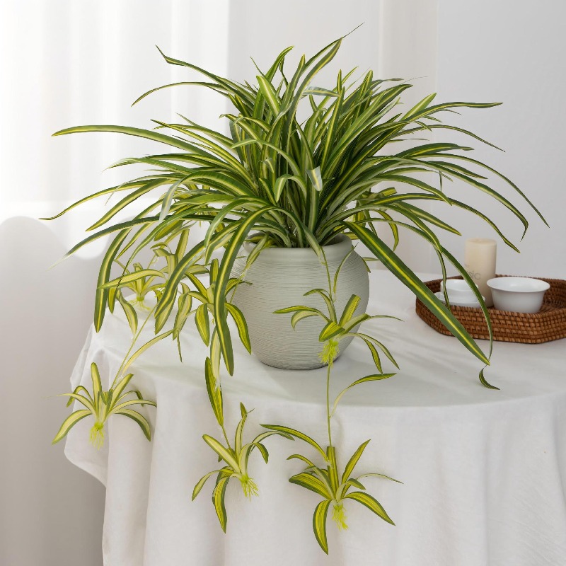 Artificial Spider Plant Chloro - Spider Plant Hanging recensione e prezzo