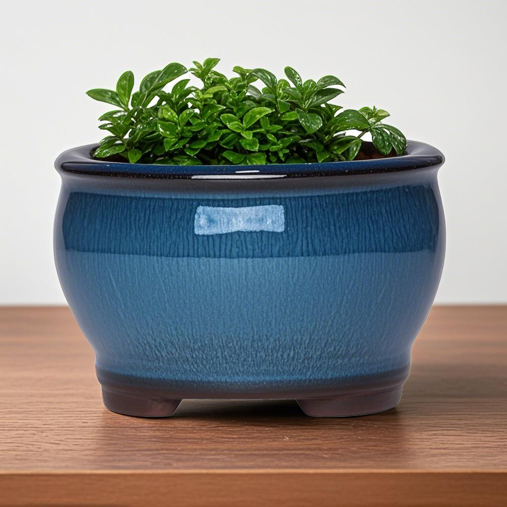 Ceramic Garden Planter Pots Ce - Aloe Vera Pot recensione e prezzo