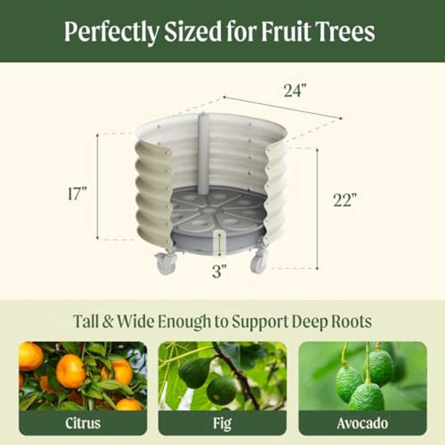 Self-Watering Rolling Metal Ci - Aloe Vera Pot recensione e prezzo