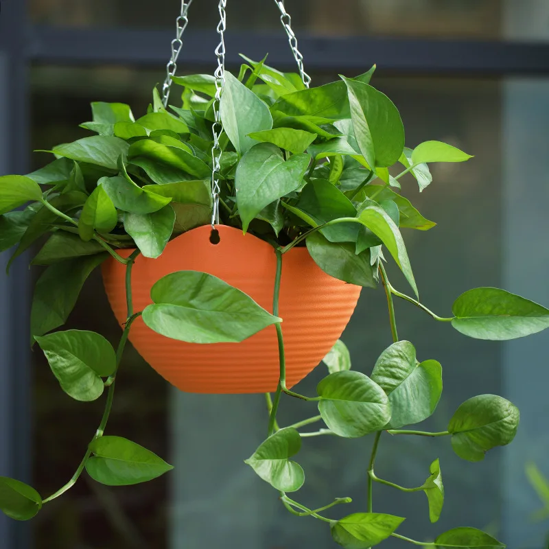 Plastic hanging basket flower  - Spider Plant Hanging recensione e prezzo